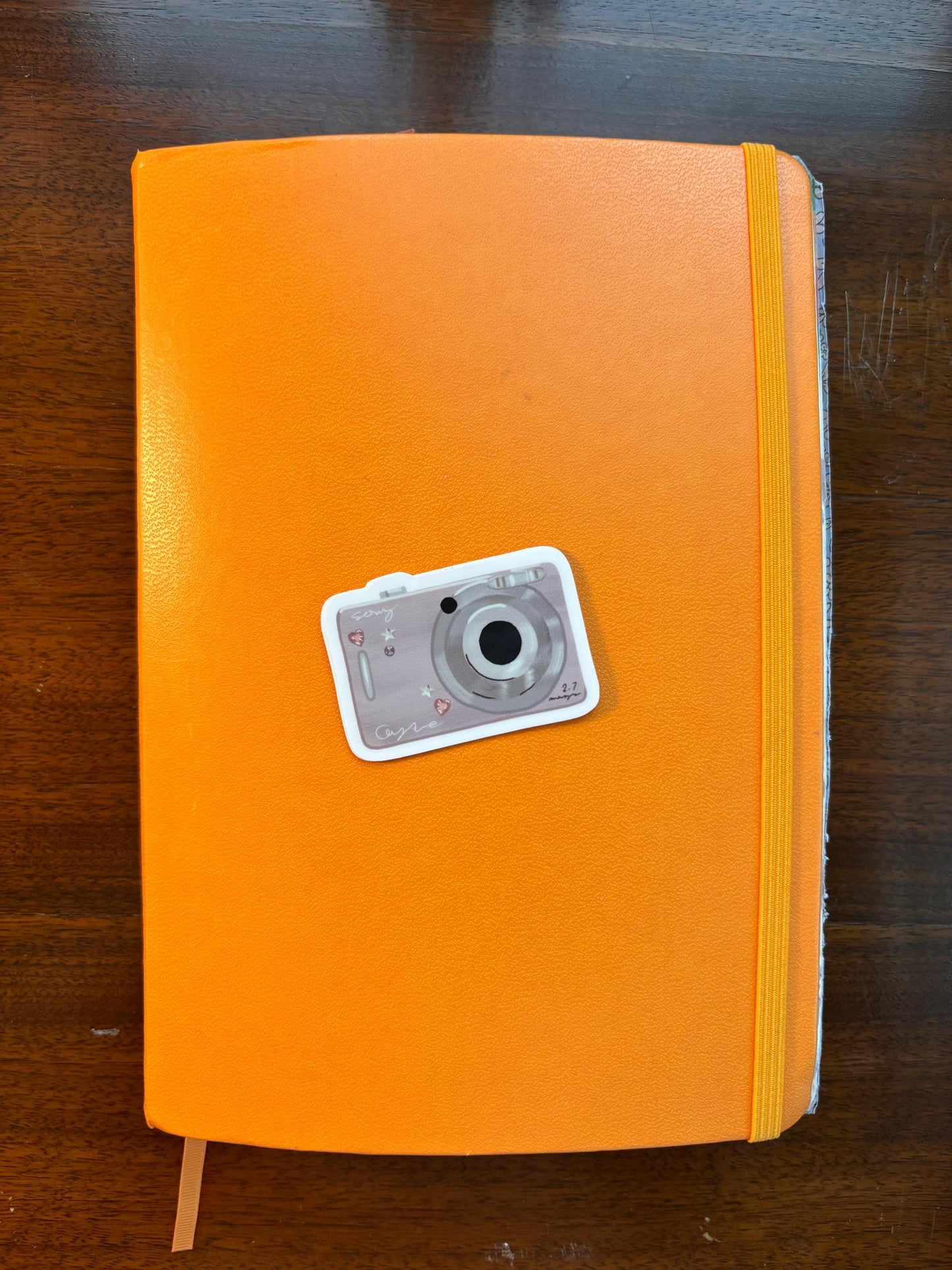 Digital camera sticker
