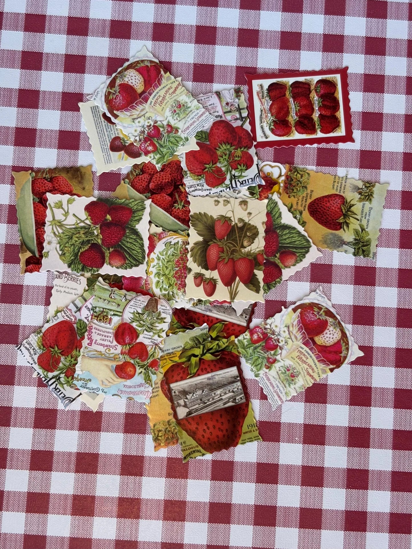 Strawberry Picnic Stationery Junk Journal Pack